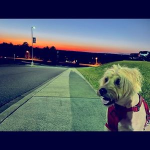 Meet your Posher, Gennie